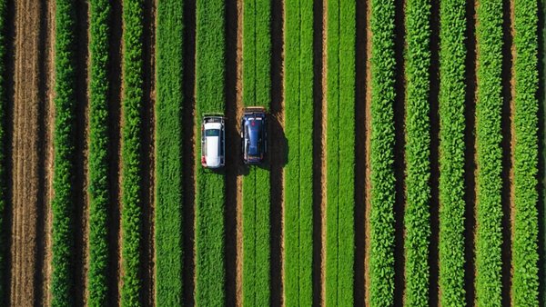 Gestionnaire d'actif agricole : sécurisez vos revenus avec l'agriculture régénérative